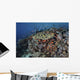 Reef Fish Swimming Strong Swirling Wall Decal