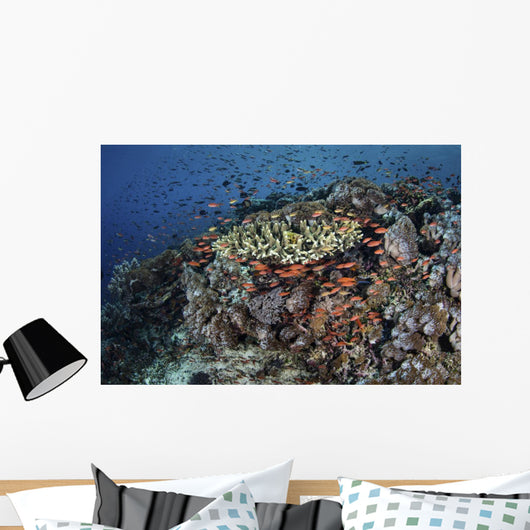 Reef Fish Swimming Strong Swirling Wall Decal