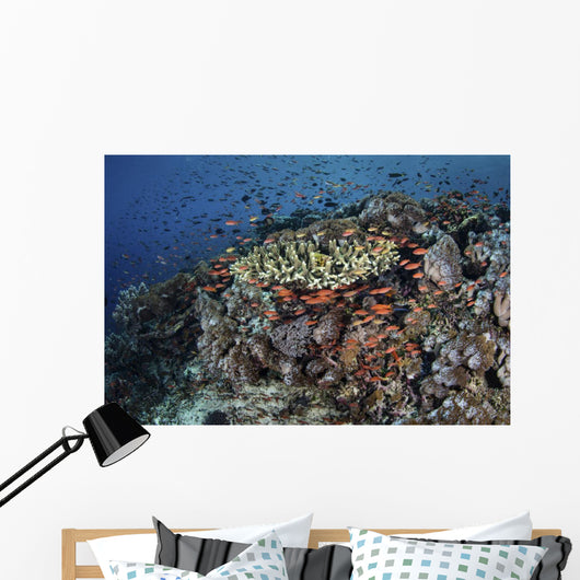 Reef Fish Swimming Strong Swirling Wall Decal