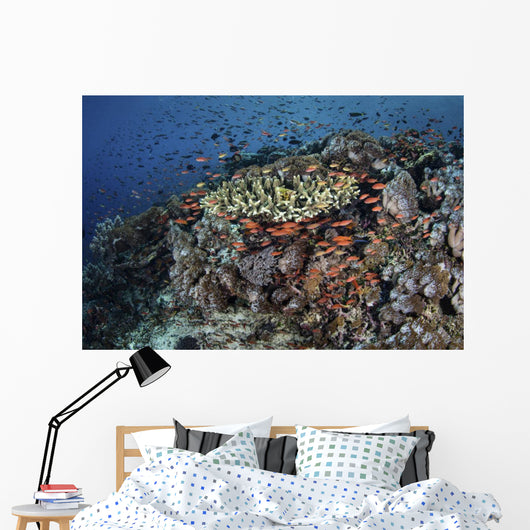 Reef Fish Swimming Strong Swirling Wall Decal