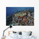 Reef Fish Swimming Strong Swirling Wall Decal