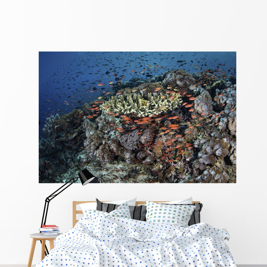 Reef Fish Swimming Strong Swirling Wall Decal