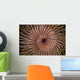 Detail Spiral Tentacles Arrangement Orange Wall Decal