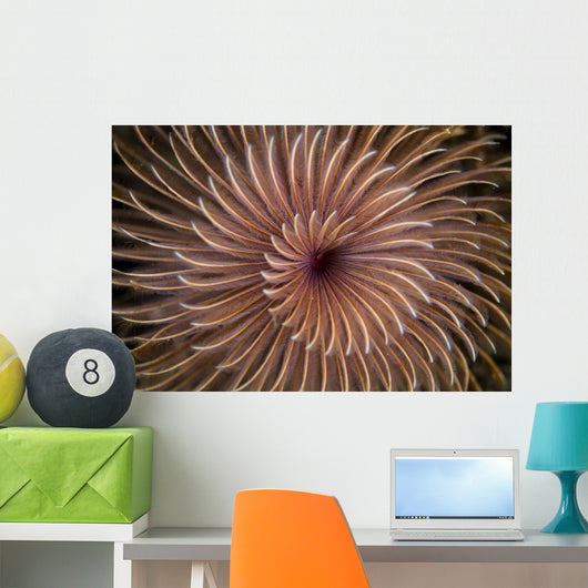 Detail Spiral Tentacles Arrangement Orange Wall Decal