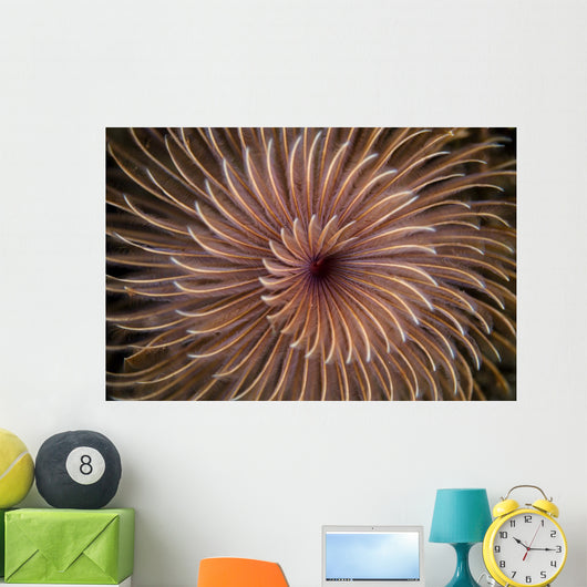 Detail Spiral Tentacles Arrangement Orange Wall Decal