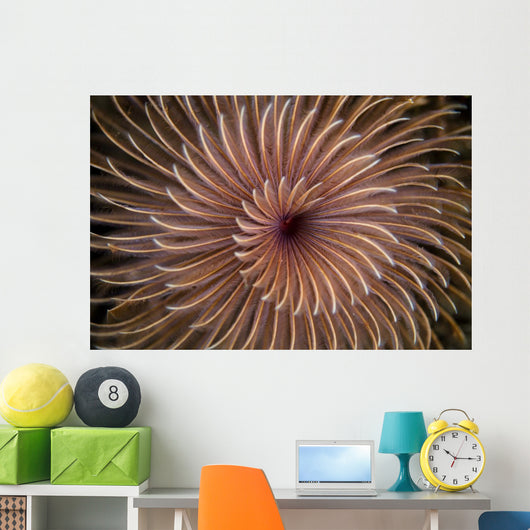 Detail Spiral Tentacles Arrangement Orange Wall Decal