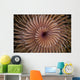 Detail Spiral Tentacles Arrangement Orange Wall Decal