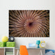 Detail Spiral Tentacles Arrangement Orange Wall Decal