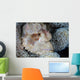 Scorpionfish Lies Wait for Wall Decal