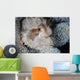 Scorpionfish Lies Wait for Wall Decal