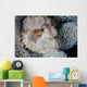 Scorpionfish Lies Wait for Wall Decal