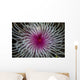 Detail Spiral Tentacles Arrangement Wall Decal