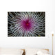 Detail Spiral Tentacles Arrangement Wall Decal
