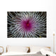 Detail Spiral Tentacles Arrangement Wall Decal
