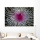 Detail Spiral Tentacles Arrangement Wall Decal