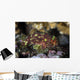 Yellow-spotted Scorpionfish Hides Reef Wall Decal