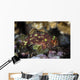 Yellow-spotted Scorpionfish Hides Reef Wall Decal