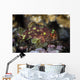 Yellow-spotted Scorpionfish Hides Reef Wall Decal