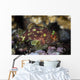 Yellow-spotted Scorpionfish Hides Reef Wall Decal