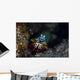 Peacock Mantis Shrimp Crawls Wall Decal