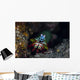 Peacock Mantis Shrimp Crawls Wall Decal