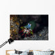 Peacock Mantis Shrimp Crawls Wall Decal