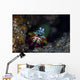 Peacock Mantis Shrimp Crawls Wall Decal