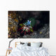 Peacock Mantis Shrimp Crawls Wall Decal