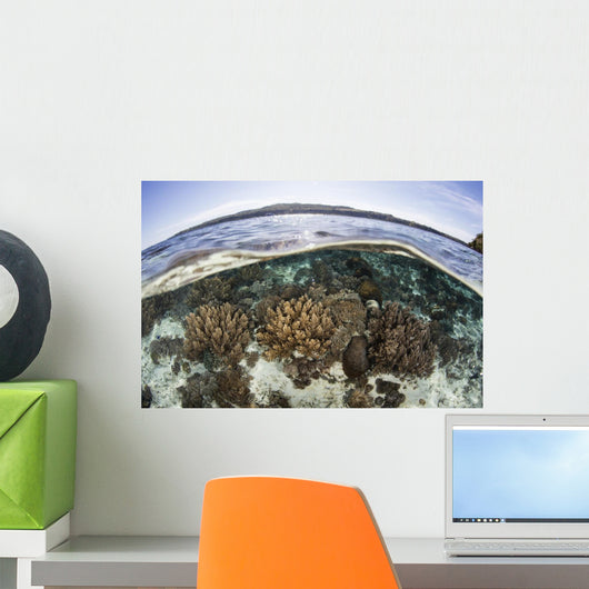 Coral Reef Thrives Shallow Wall Decal