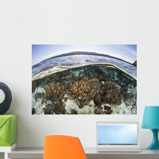 Coral Reef Thrives Shallow Wall Decal