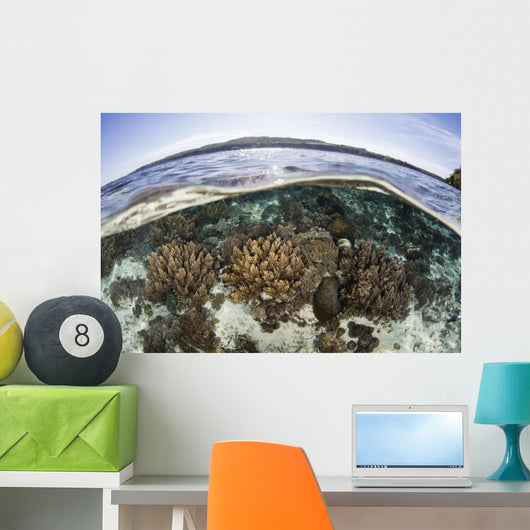 Coral Reef Thrives Shallow Wall Decal