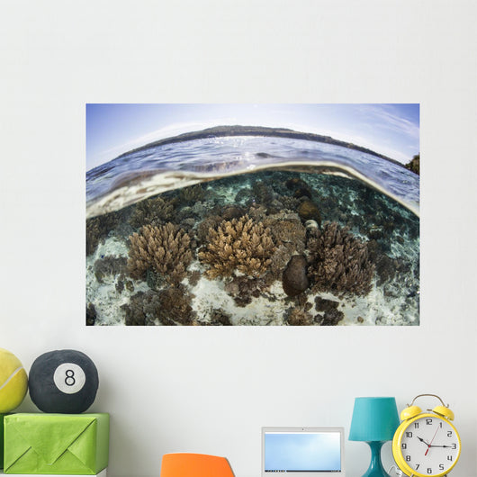 Coral Reef Thrives Shallow Wall Decal