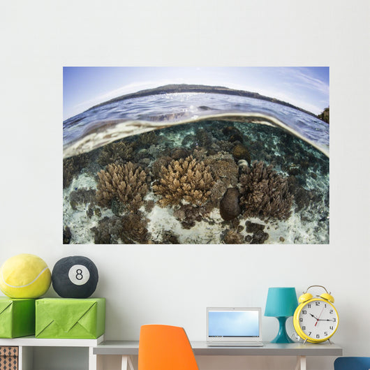 Coral Reef Thrives Shallow Wall Decal