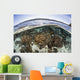 Coral Reef Thrives Shallow Wall Decal