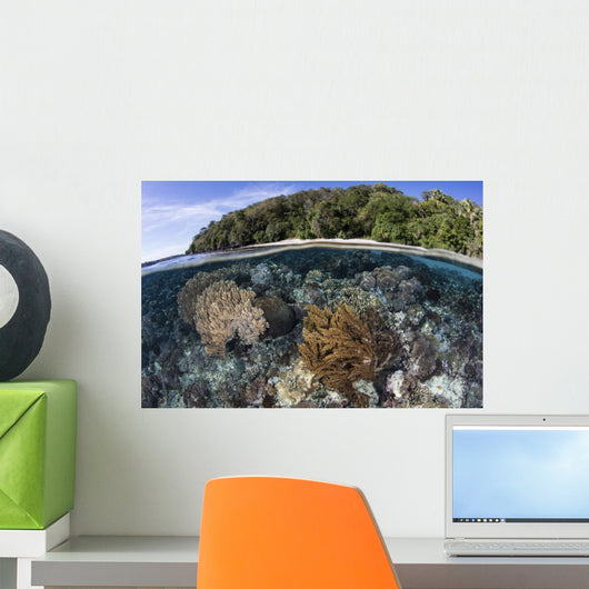 Coral Reef Thrives Shallow Beach Wall Decal