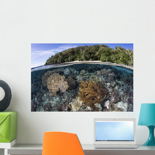 Coral Reef Thrives Shallow Beach Wall Decal