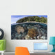 Coral Reef Thrives Shallow Beach Wall Decal