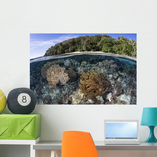 Coral Reef Thrives Shallow Beach Wall Decal