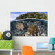 Coral Reef Thrives Shallow Beach Wall Decal