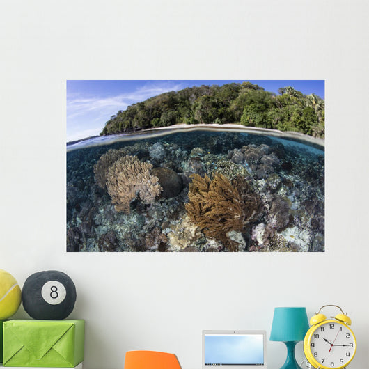 Coral Reef Thrives Shallow Beach Wall Decal