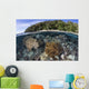 Coral Reef Thrives Shallow Beach Wall Decal