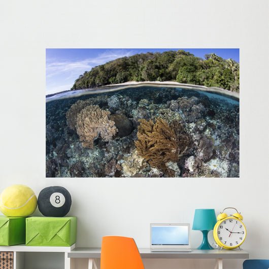 Coral Reef Thrives Shallow Beach Wall Decal