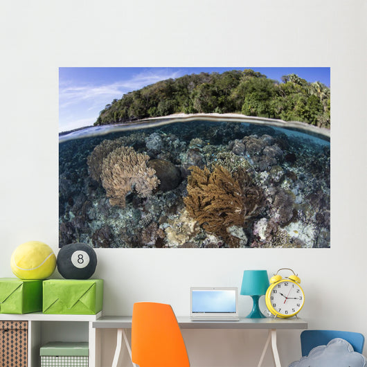 Coral Reef Thrives Shallow Beach Wall Decal