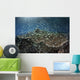 School Blue-green Damselfish Swimming Light Rays Wall Decal