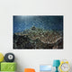 School Blue-green Damselfish Swimming Light Rays Wall Decal