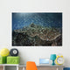 School Blue-green Damselfish Swimming Light Rays Wall Decal