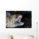 Unidentified Moray Eel Komodo Right Profile Wall Decal