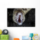 Unidentified Moray Eel Komodo Front Face Wall Decal