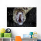 Unidentified Moray Eel Komodo Front Face Wall Decal