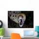 Unidentified Moray Eel Komodo Wall Decal